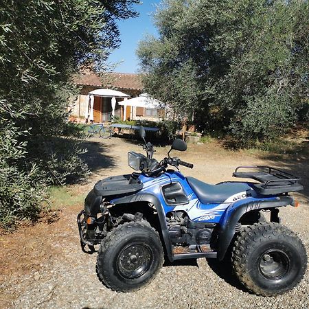 Agriturismo Cantagalli ซันกีรีโกดอร์เชีย ภายนอก รูปภาพ