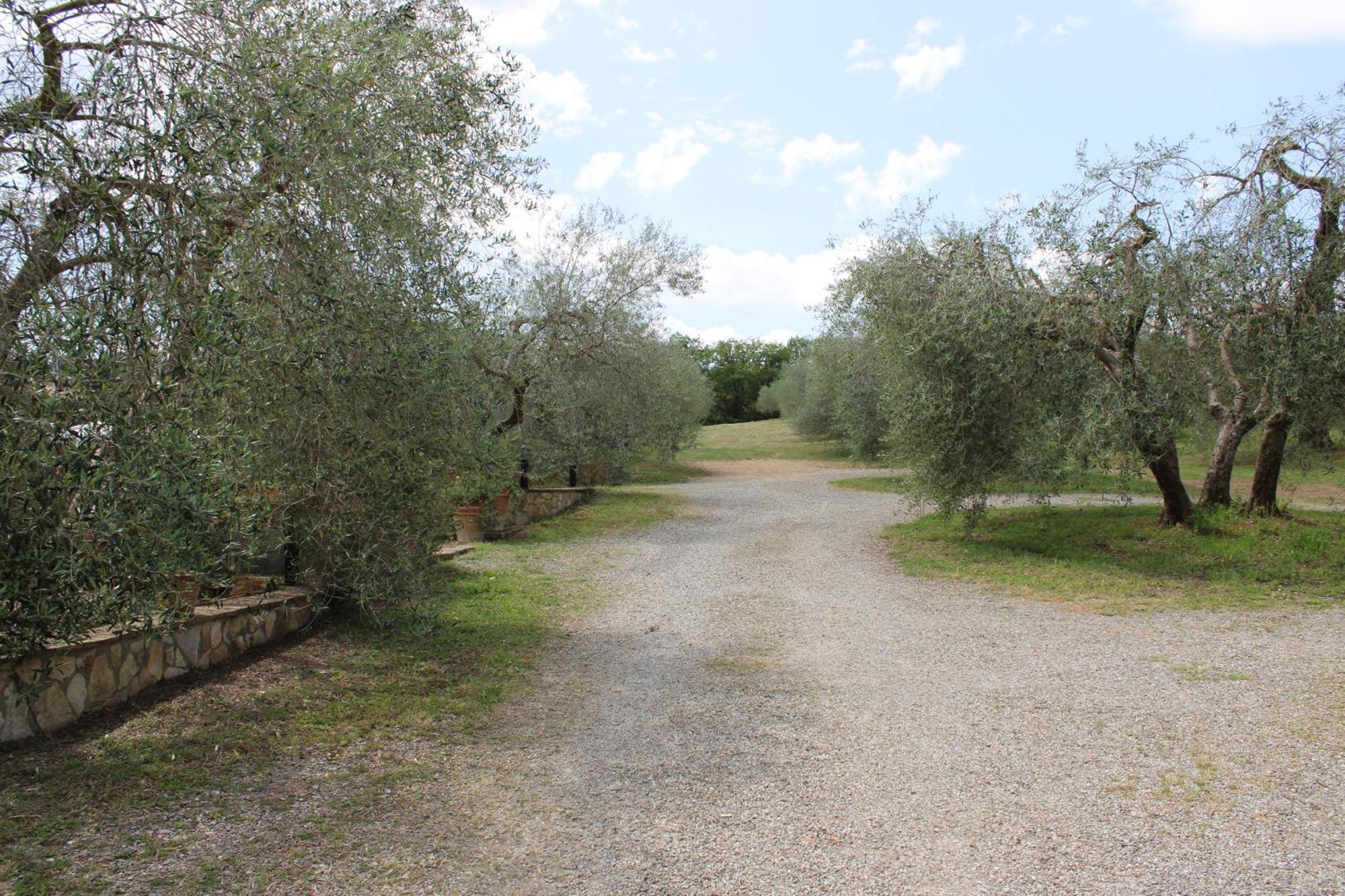 Agriturismo Cantagalli ซันกีรีโกดอร์เชีย ภายนอก รูปภาพ