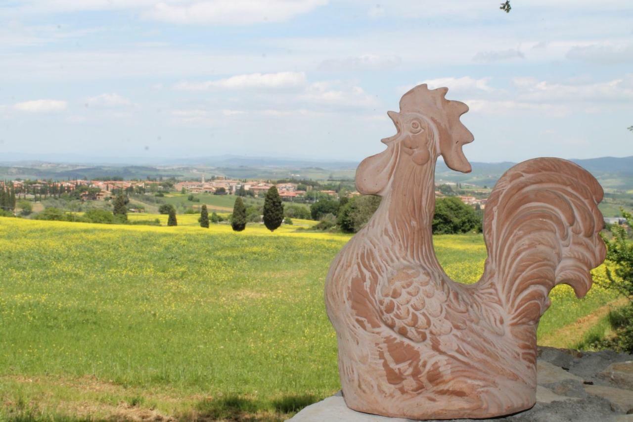 Agriturismo Cantagalli ซันกีรีโกดอร์เชีย ภายนอก รูปภาพ