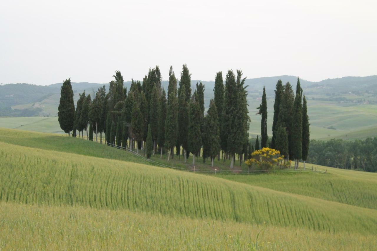 Agriturismo Cantagalli ซันกีรีโกดอร์เชีย ภายนอก รูปภาพ