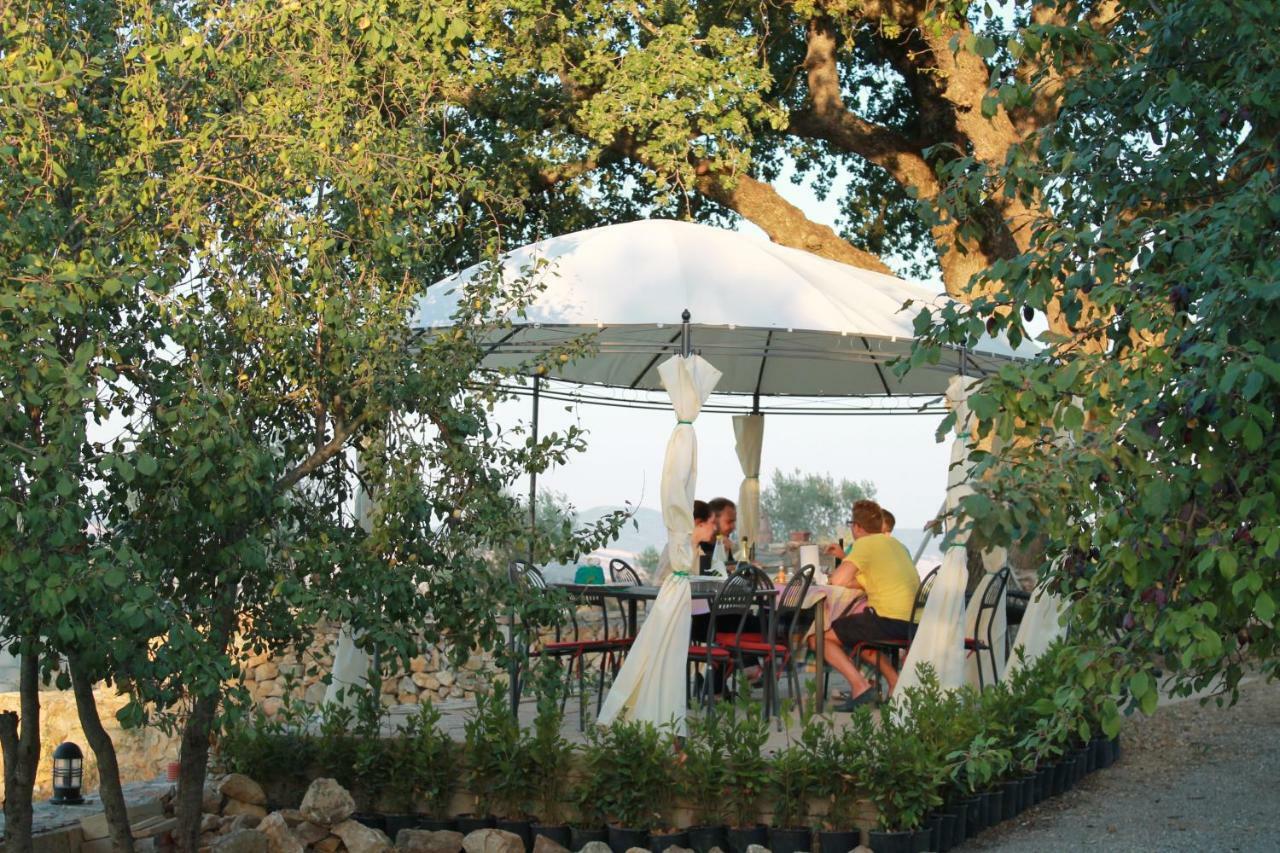 Agriturismo Cantagalli ซันกีรีโกดอร์เชีย ภายนอก รูปภาพ