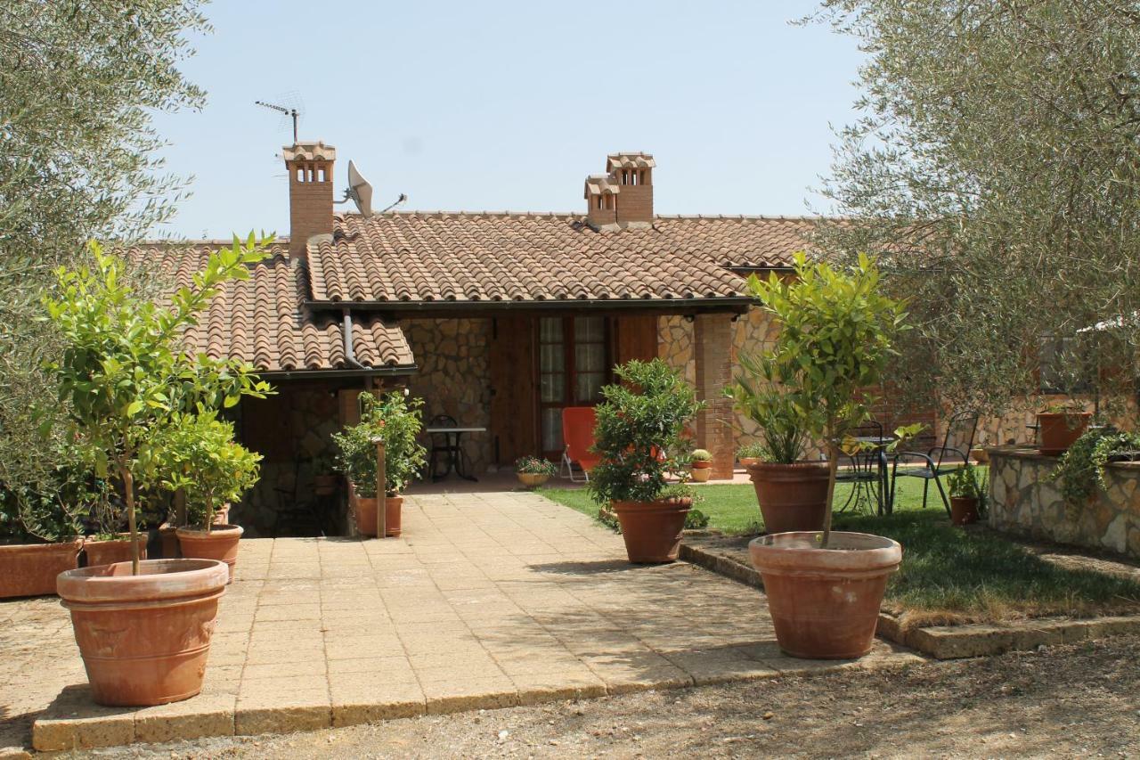 Agriturismo Cantagalli ซันกีรีโกดอร์เชีย ภายนอก รูปภาพ